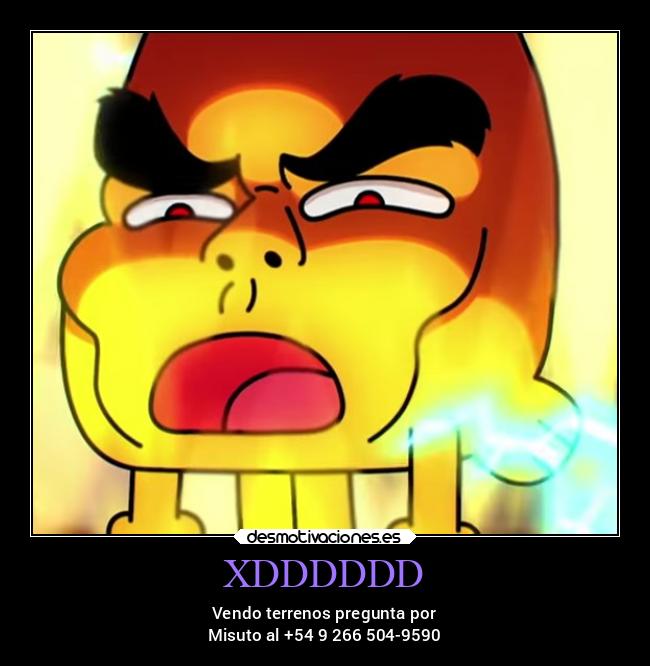 XDDDDDD - Vendo terrenos pregunta por
Misuto al +54 9 266 504-9590