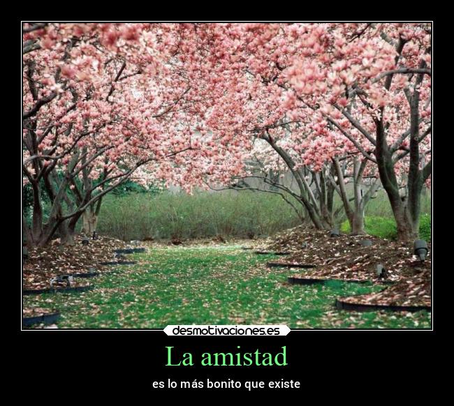 carteles amistad guerra hipster historia humor ideas idioma ignorancia imaginacion imposible infancia internet desmotivaciones