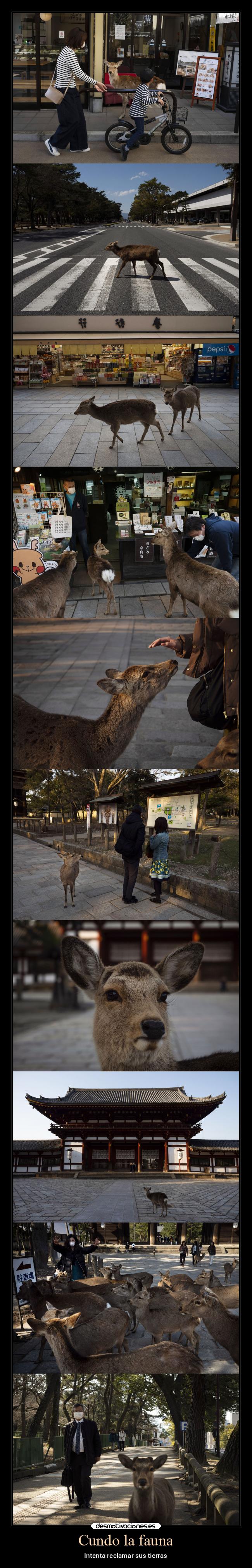 carteles animales reclamar cuarentena coronavirus desmotivaciones