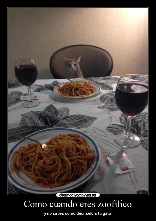 Como cuando eres zoofilico - y no sabes como decírselo a tu gato