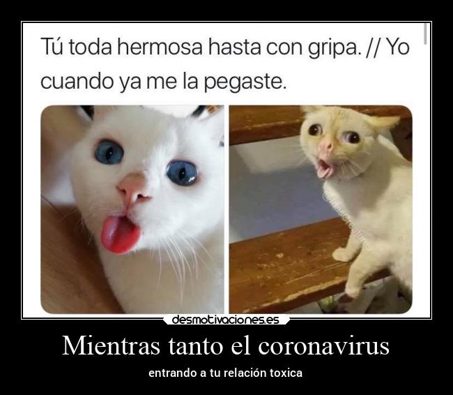 Mientras tanto el coronavirus - entrando a tu relación toxica
