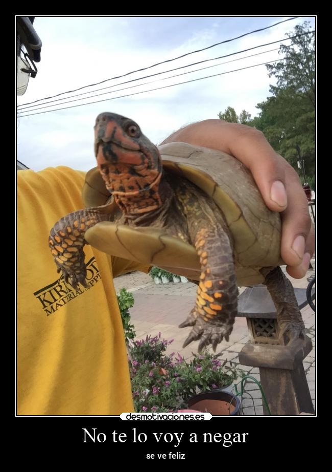 No te lo voy a negar - se ve feliz