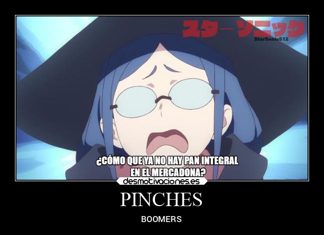 PINCHES - BOOMERS