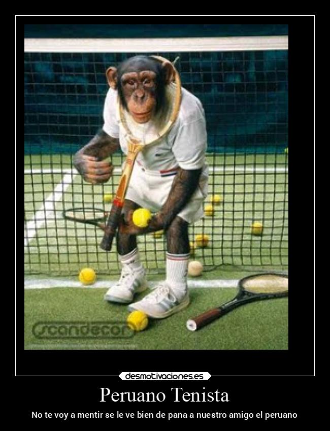 Peruano Tenista - No te voy a mentir se le ve bien de pana a nuestro amigo el peruano