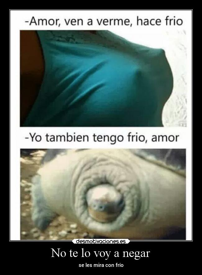 No te lo voy a negar -