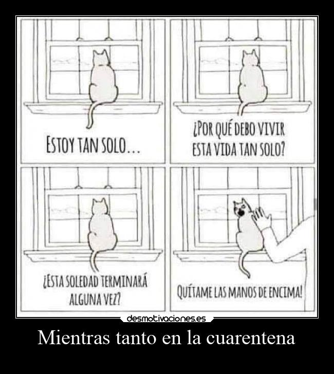 Mientras tanto en la cuarentena -