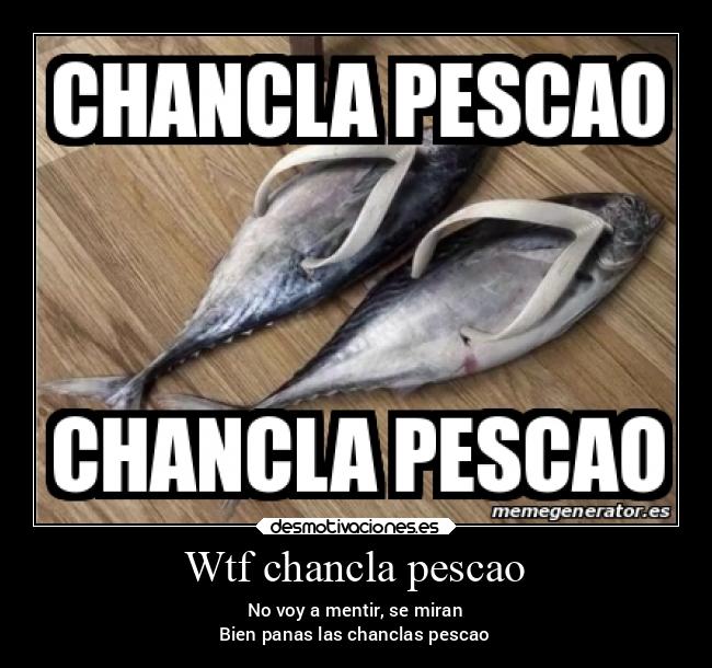 Wtf chancla pescao - No voy a mentir, se miran
Bien panas las chanclas pescao