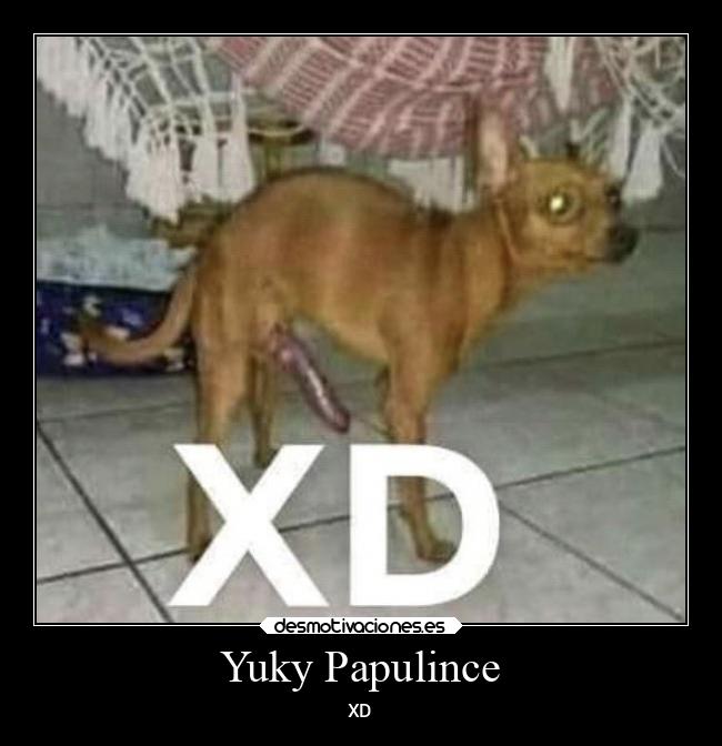 Yuky Papulince - 