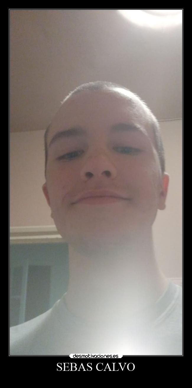 carteles corazon calvo desmotivaciones