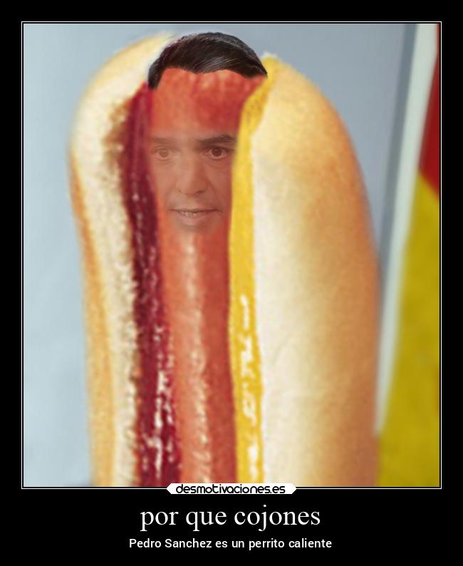 por que cojones - Pedro Sanchez es un perrito caliente