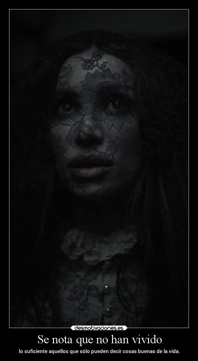 carteles desmotivaciones vida clandesplazado soyunidiotatm manada32 projectd desmotivaciones