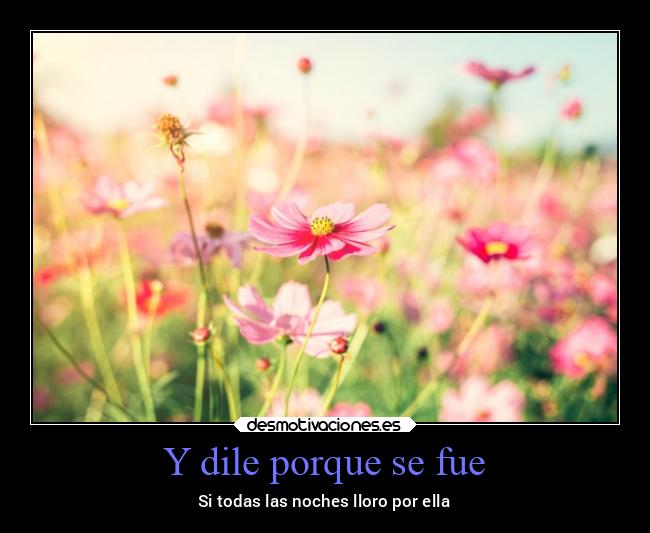 carteles dios distancia dolor dormir enemigo enfados escuela espana esperanza examenes facebook fail fam desmotivaciones