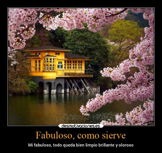 carteles fail familia felicidad fiesta filosofia fisico frases futbol gatos graciosas guerra hipster hist desmotivaciones