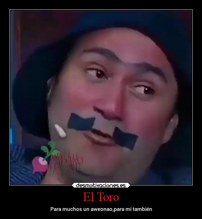 El Toro - Para muchos un aweonao,para mi también