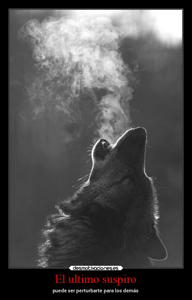 carteles historia humor ideas idioma ignorancia imaginacion imposible infancia internet libertad litera desmotivaciones