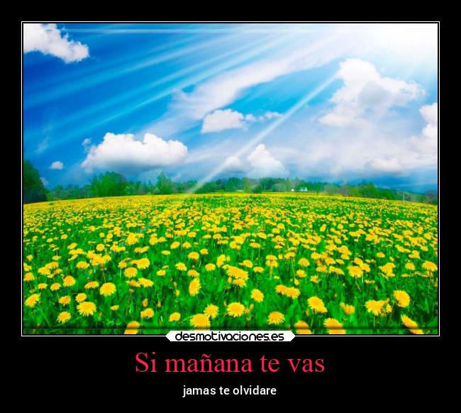 carteles libertad literatura llorar locura madre madurar memes mentira mexico miedo motivaciones muerte desmotivaciones