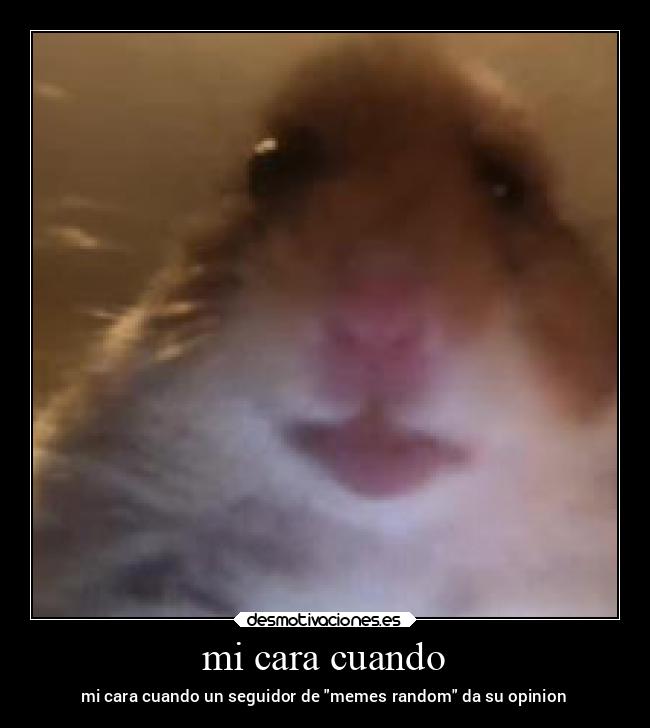 Ver las imágenes de origen