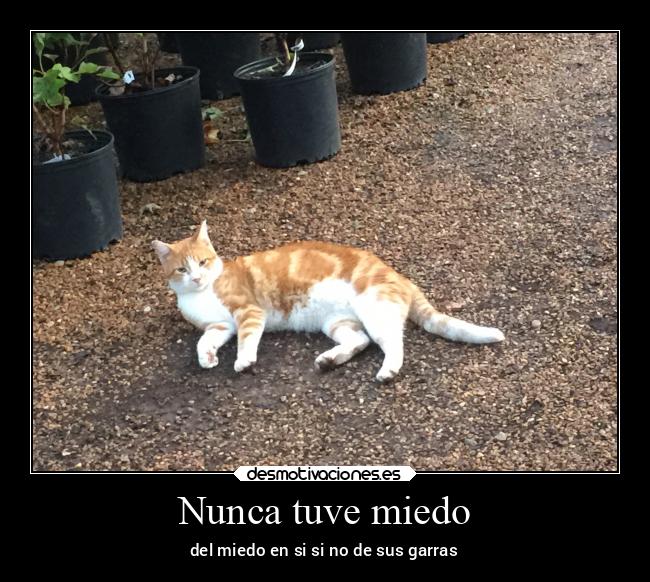 Nunca tuve miedo - del miedo en si si no de sus garras