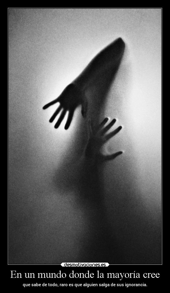 En un mundo donde la mayoría cree -