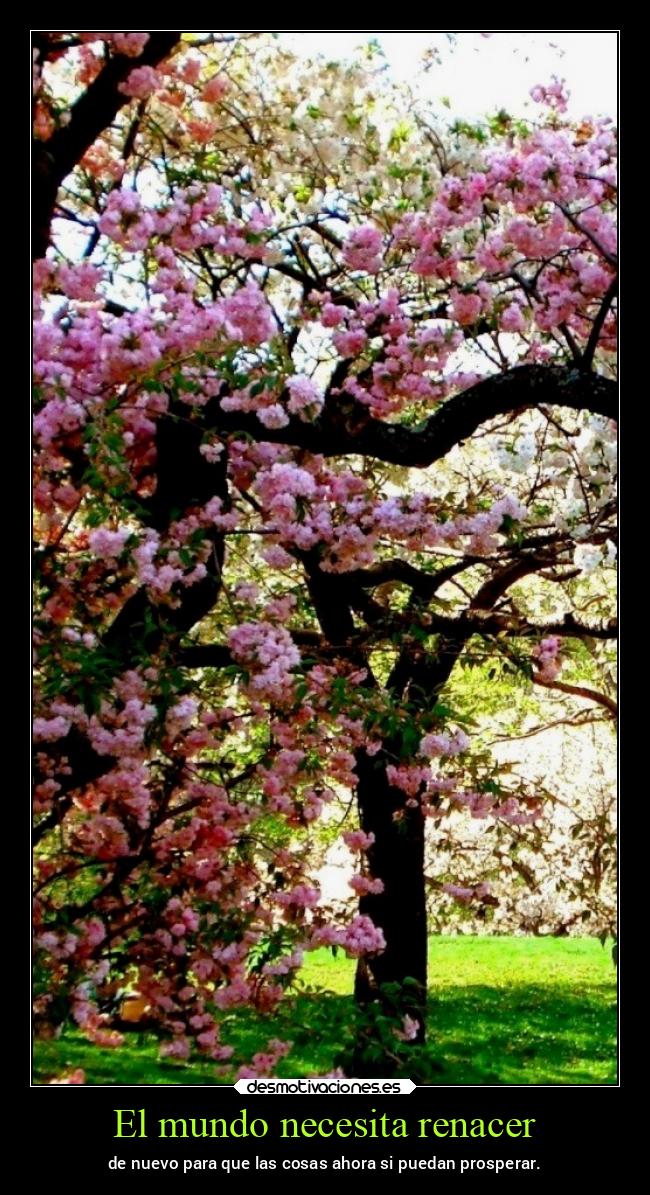 El mundo necesita renacer - 