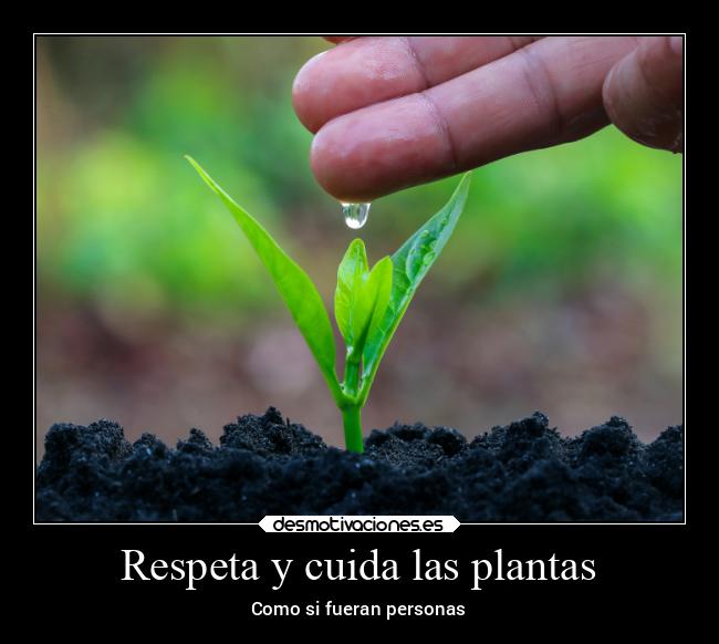 carteles naturaleza desmotivaciones
