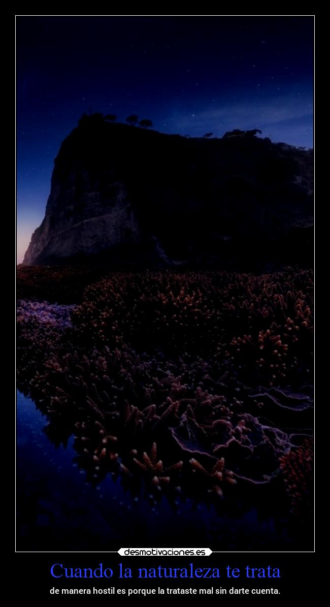 carteles naturaleza vida chopper igbt desmotivaciones