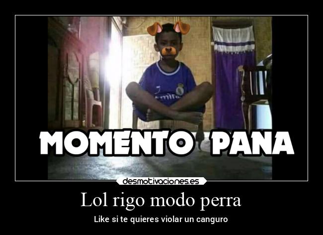 Lol rigo modo perra - 