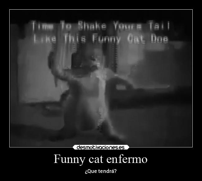 Funny cat enfermo - ¿Que tendrá?