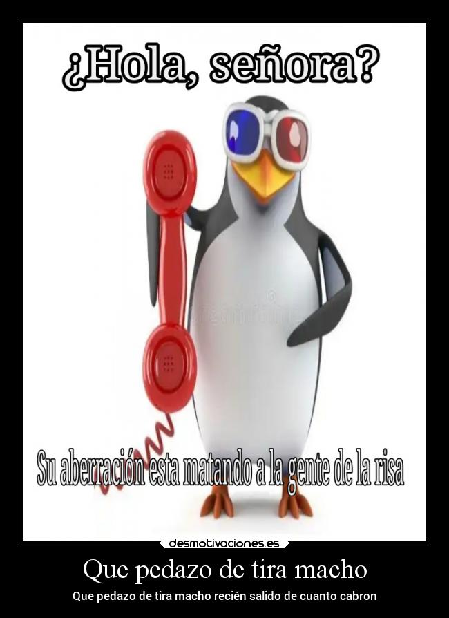 carteles tonto desmotivaciones