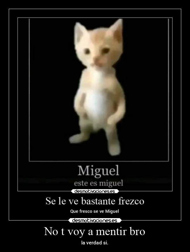 No t voy a mentir bro -