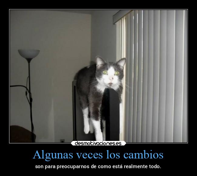 Algunas veces los cambios - 