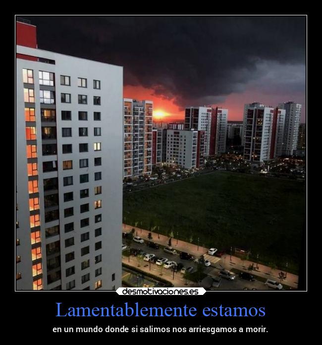 Lamentablemente estamos - 
