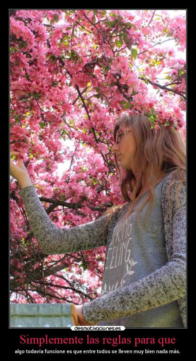 carteles vida chopper igbt desmovivetodavia2020 desmotivaciones