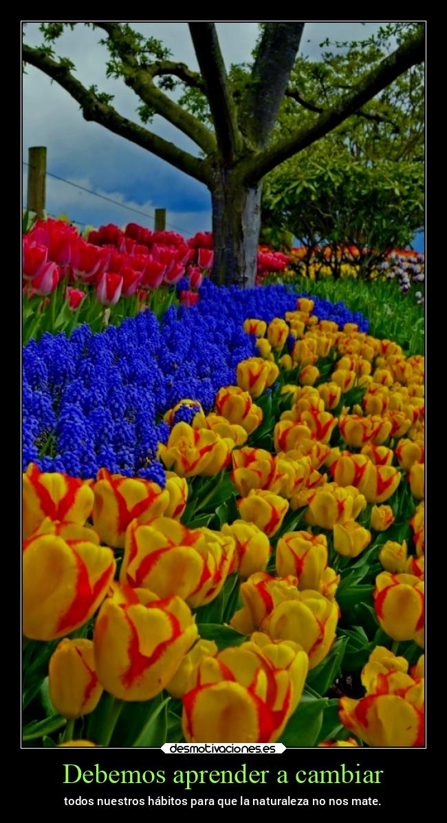Debemos aprender a cambiar -