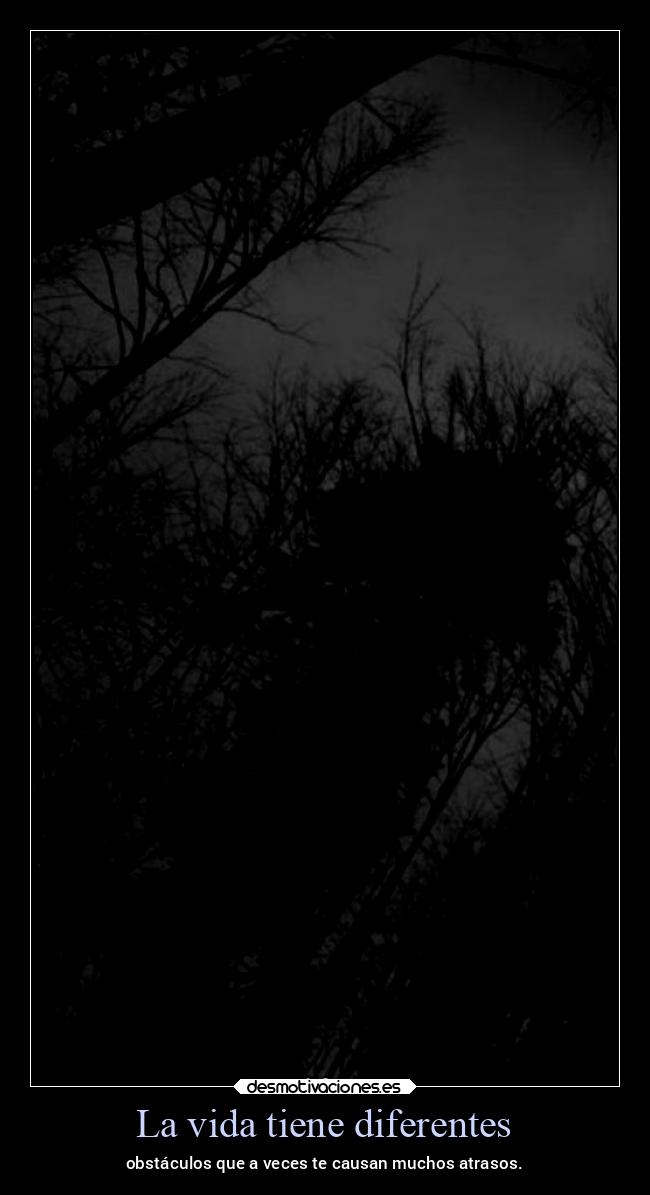 carteles vida vida ltsc lrssg alex vazquez999 desmotivaciones