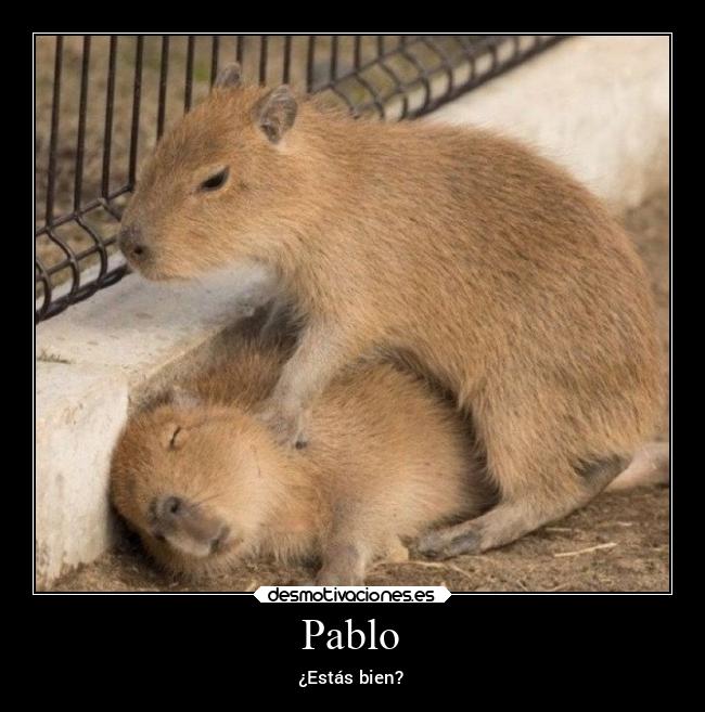 Pablo - ¿Estás bien?