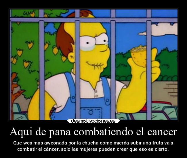 Aqui de pana combatiendo el cancer - Que wea mas aweonada por la chucha como mierda subir una fruta va a
combatir el cáncer, solo las mujeres pueden creer que eso es cierto.