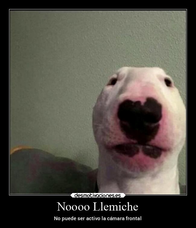 carteles alma gusta kkkkkk desmotivaciones