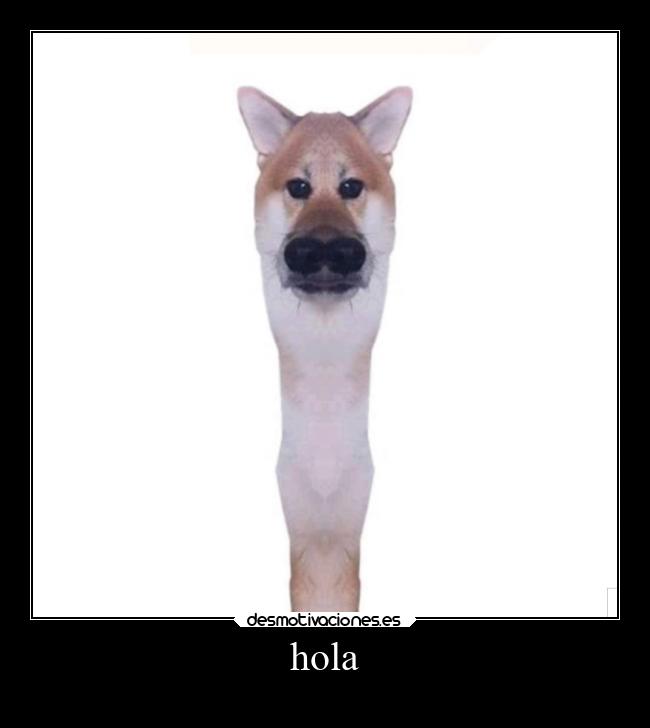 hola -