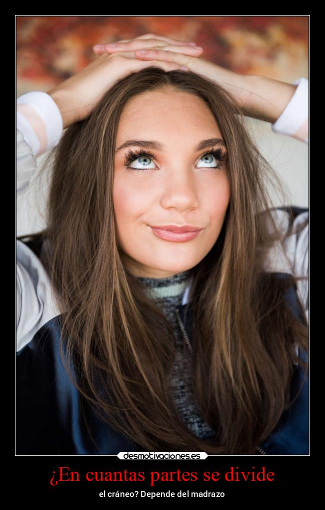 ¿En cuantas partes se divide -