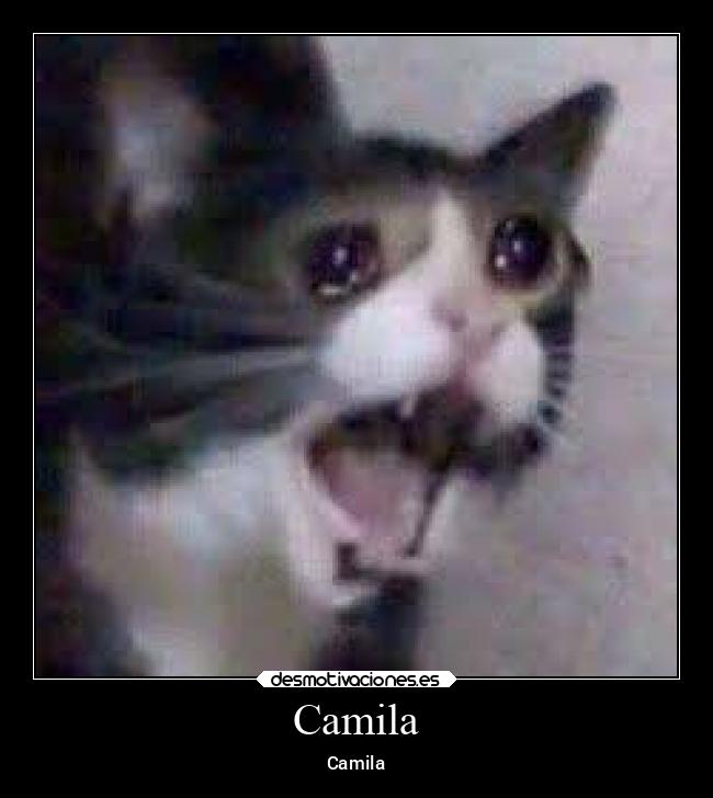 Camila - 