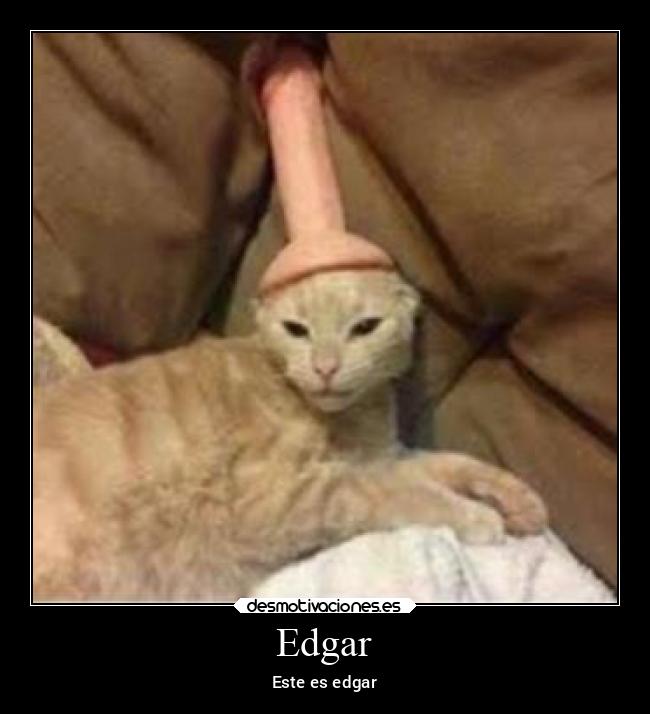 carteles amigos desmotivaciones