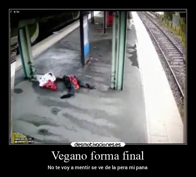 Vegano forma final - No te voy a mentir se ve de la pera mi pana