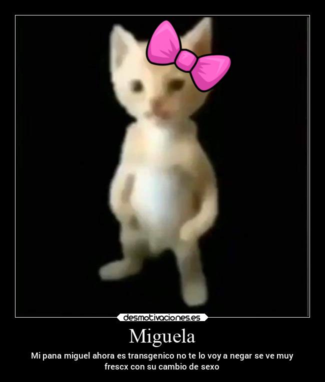 Miguela - 