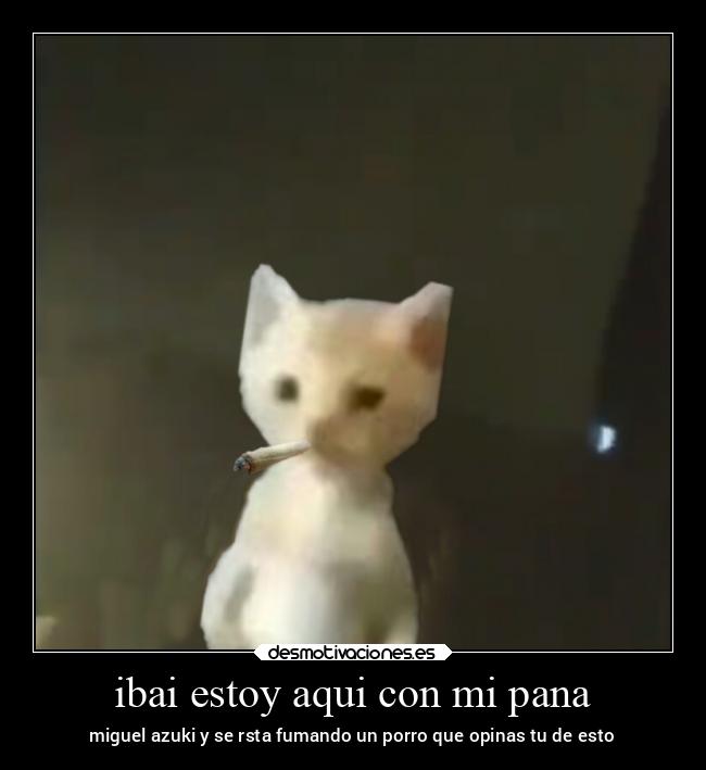 ibai estoy aqui con mi pana - miguel azuki y se rsta fumando un porro que opinas tu de esto
