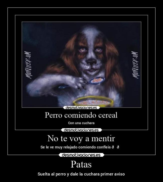 Patas - Suelta al perro y dale la cuchara primer aviso