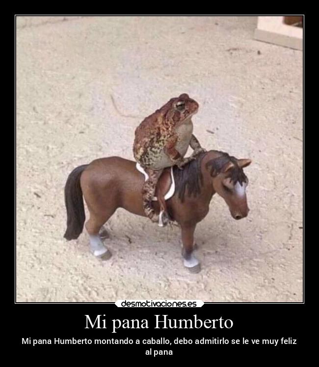 carteles animales desmotivaciones