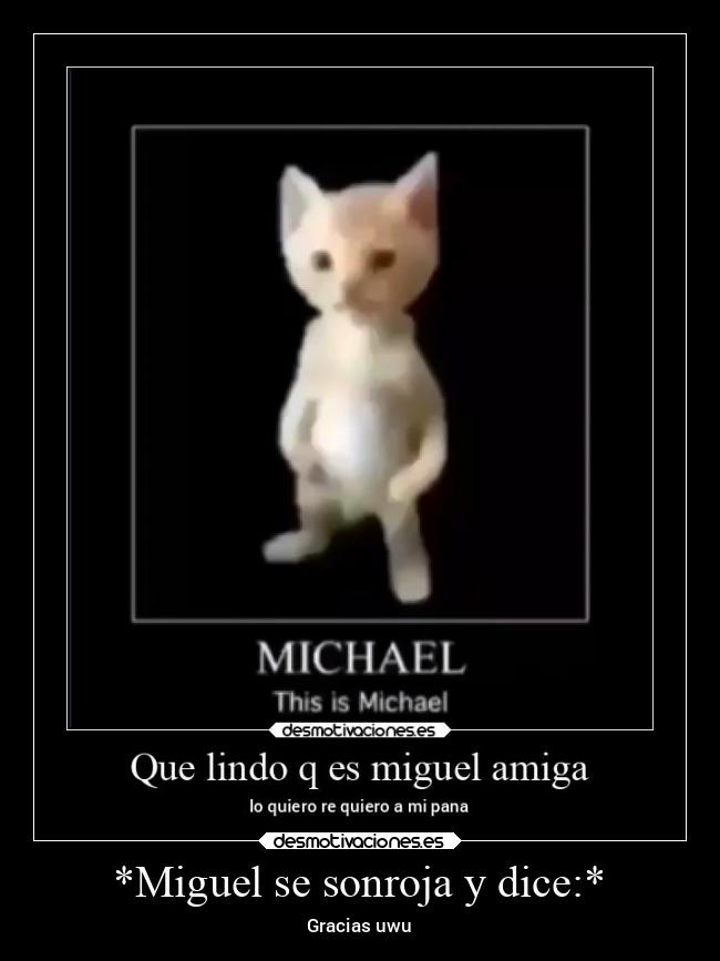 carteles animales meme desmotivaciones