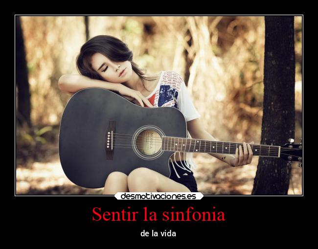 Sentir la sinfonia -