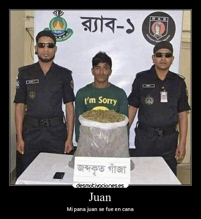 carteles anime desmotivaciones